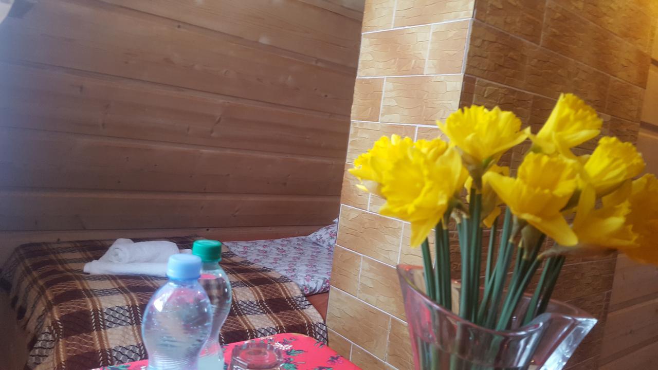 Lesne Zacisze Bed and Breakfast Murzasichle Εξωτερικό φωτογραφία